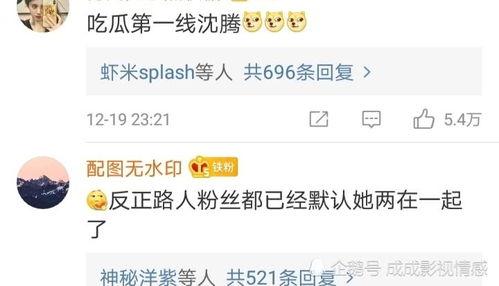 吃瓜明星文档,吃瓜明星背后的故事与真相