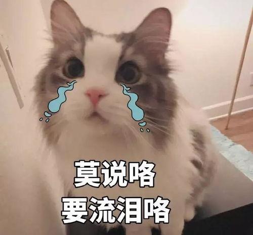 因为吃瓜而分手,一场因吃瓜引发的分手风波