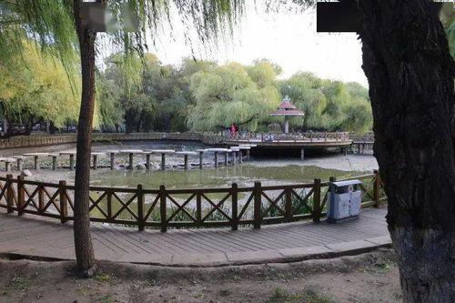 南湖公园吃瓜事件,一场引发热议的公共行为探讨