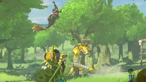 塞尔达女城吃瓜,一场吃瓜盛宴背后的故事