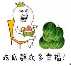 吃瓜群众爱吃瓜君,揭秘瓜界风云人物